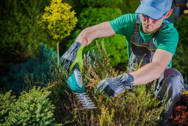 landscaping services Homer